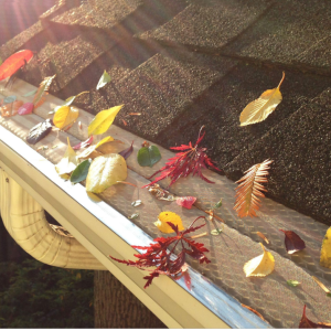 8B0E34C09876CFA96A892B40953E8DC1